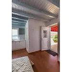 Villa Agios Sostis Mykonos *
